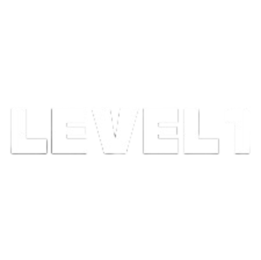 Level 1